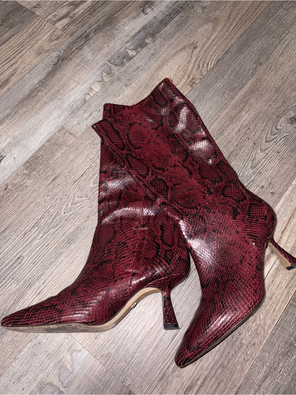 Sam Edelman Burgundy Snake-Print Pointed Ankle Boots